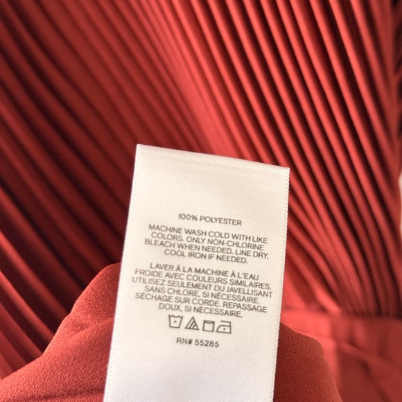 Express Sleeveless Pleated Maxi Dress in Rust - Picture 6 of 6